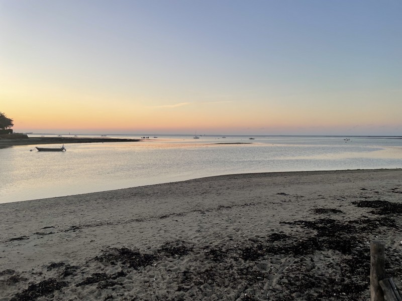jour33 (17)